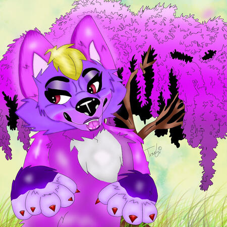 Fluffy furry